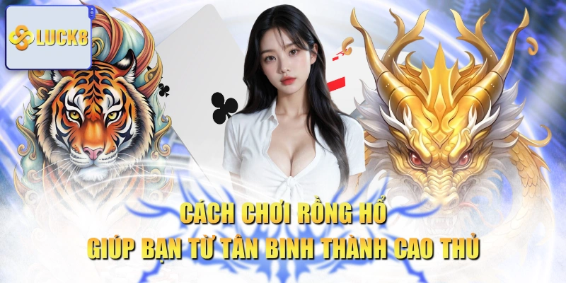Cách Chơi Rồng Hổ Giúp Bạn Từ Tân Binh Thành Cao Thủ